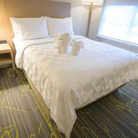 Holiday Inn Willowbrook Houston Nw